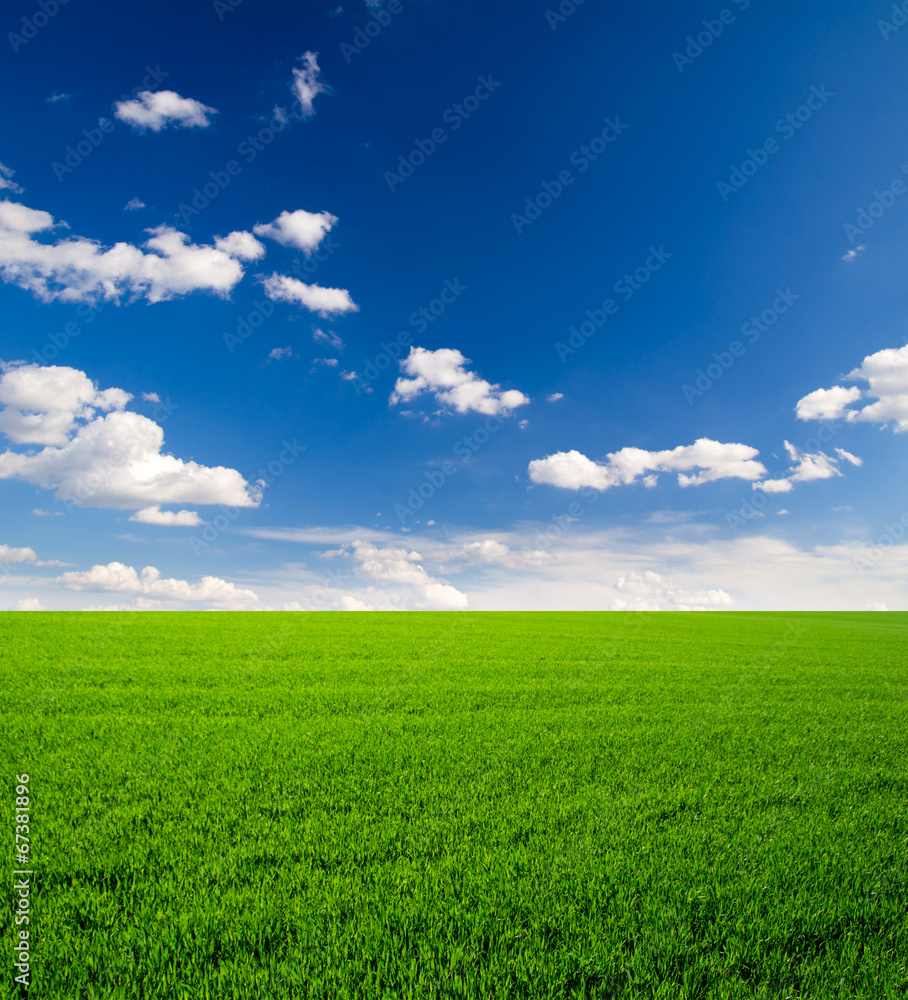 Green field and blue sky