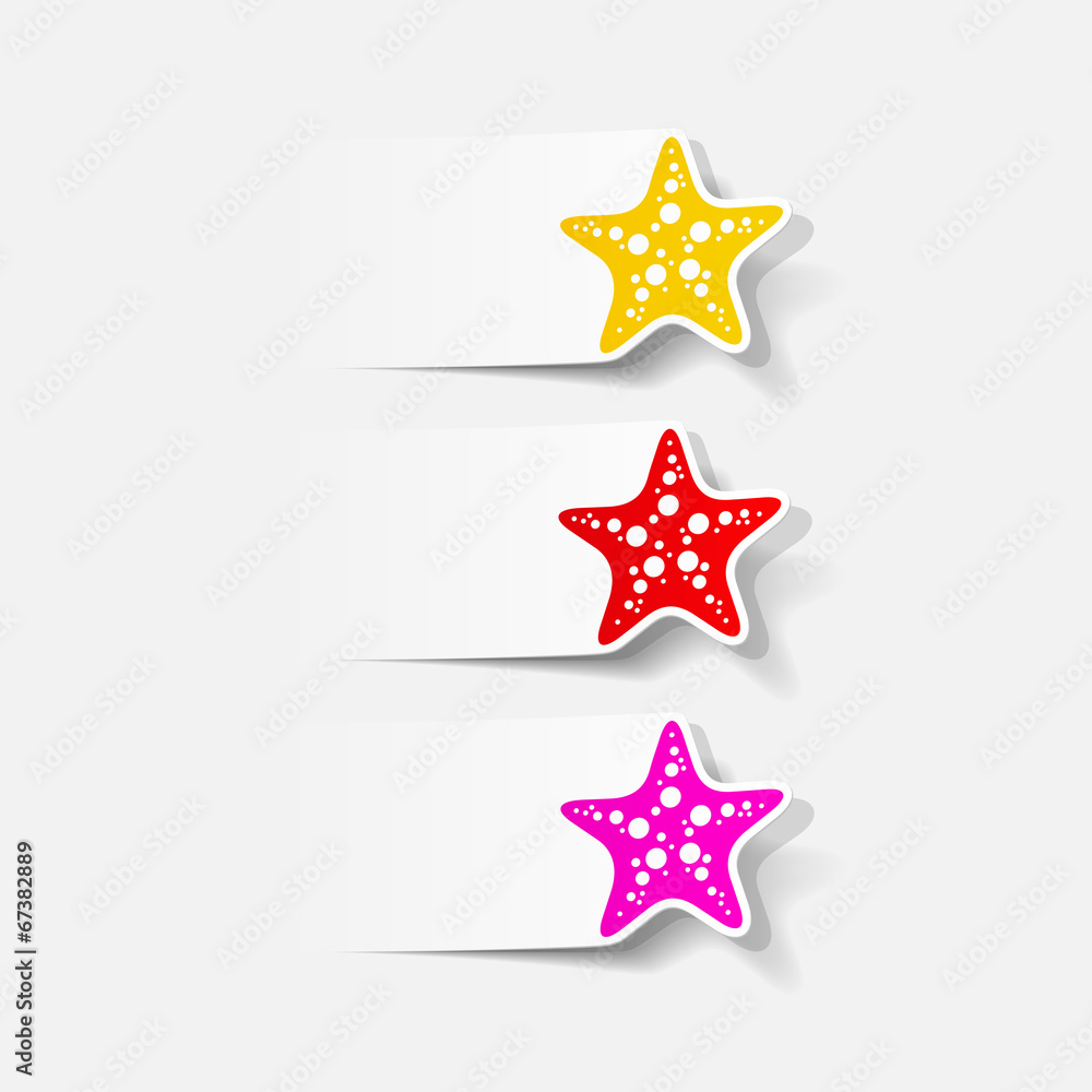 realistic design element: starfish realistic design element: starfish
