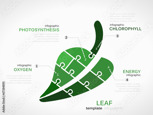 Nature concept infographic template with leaf made