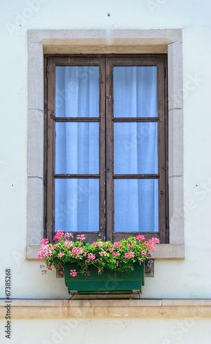 Windows with flowers © AKS