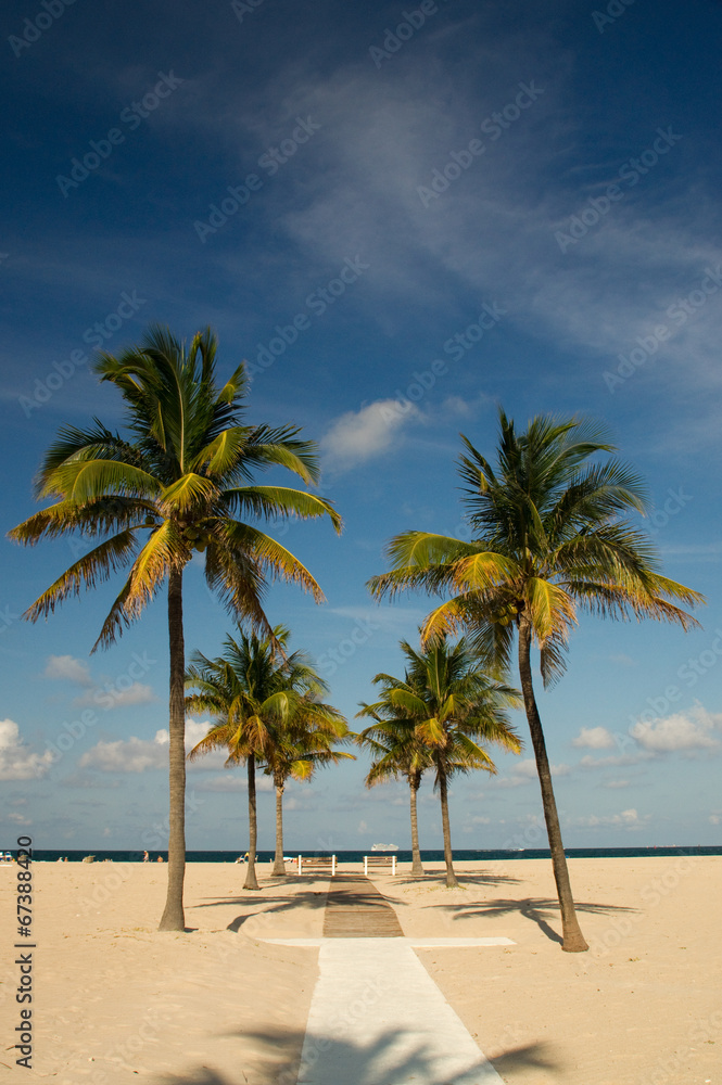 Beach, Weg, Palmen, Florida, Sandstrand, Fort Lauderdale, Beach, Weg, Palmen, Florida, Sandstrand, Fort Lauderdale,
