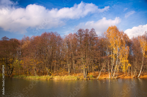 beautiful sunny day in autumn park