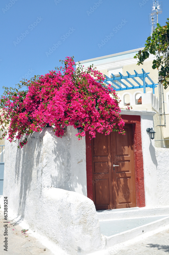 griechischer bungalow mit pinkem bougainvillea - obrazy, fototapety, plakaty 