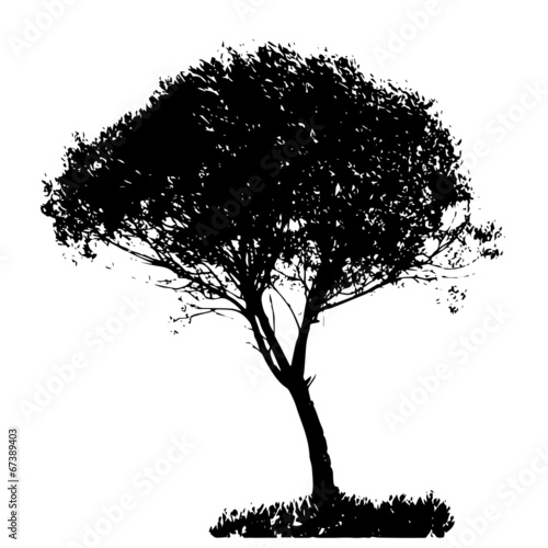 Tree Silhouette Isolated on White Backgorund. Vecrtor Illustrati