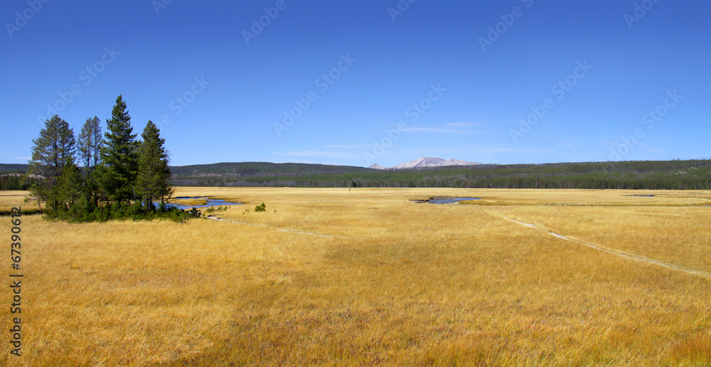 Yellowstone national park