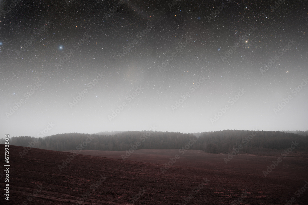 Fototapeta premium night field forest . Elements of this image furnished by NASA