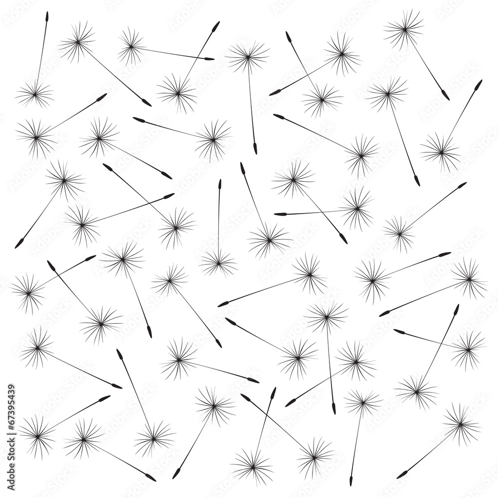 black vector dandelion elements black vector dandelion elements