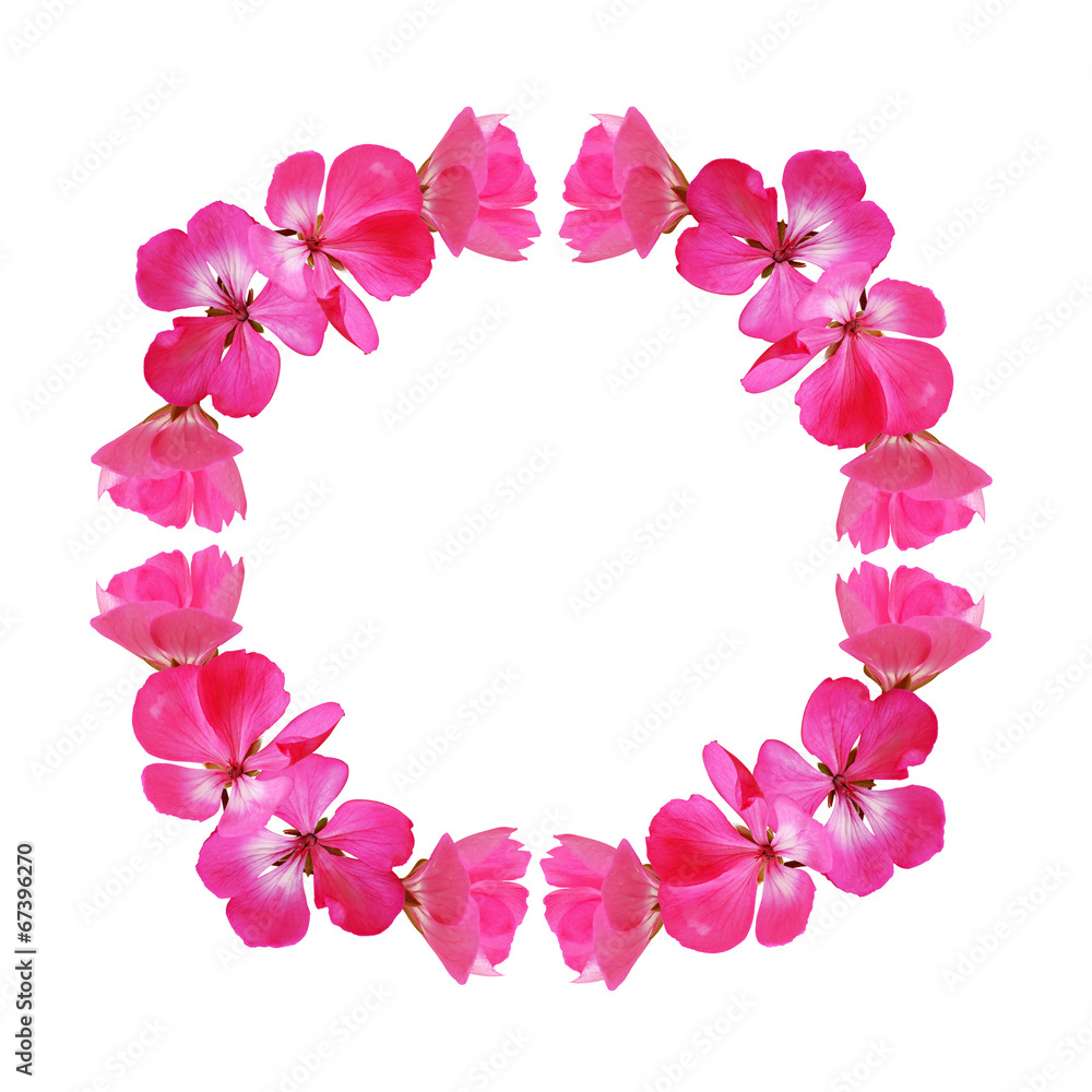 Pink frame with geranium flowers