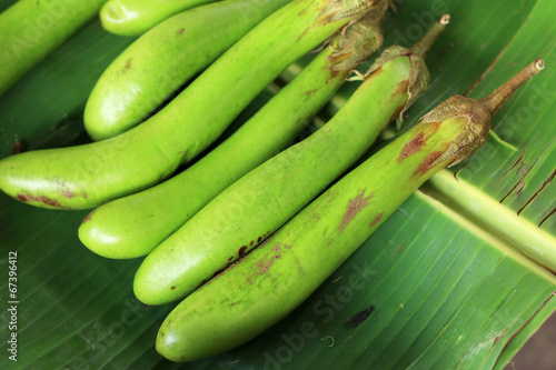 green eggplant in the market