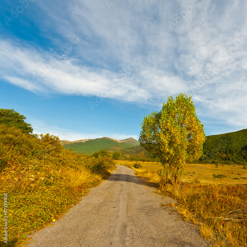 Autumn photo