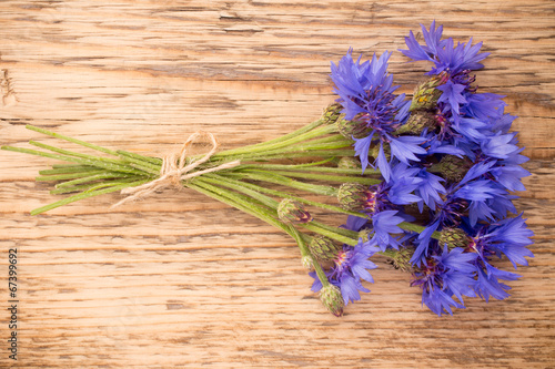 Cornflower.