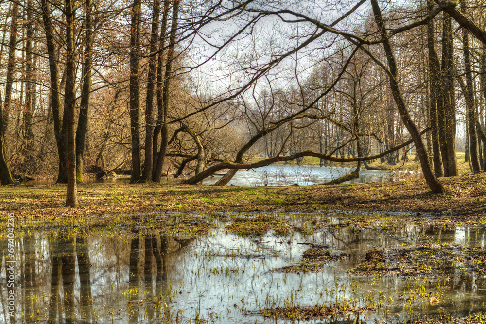 HDR fotografiya.vesennyaya rebirth of nature HDR fotografiya.vesennyaya rebirth of nature