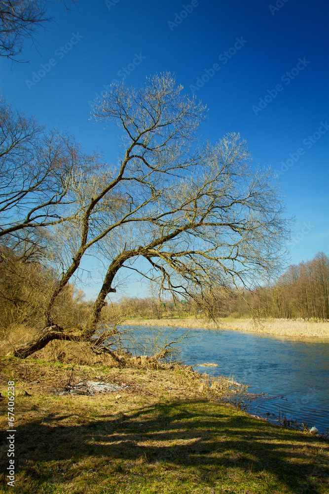 Spring in the parks and forests of Europe