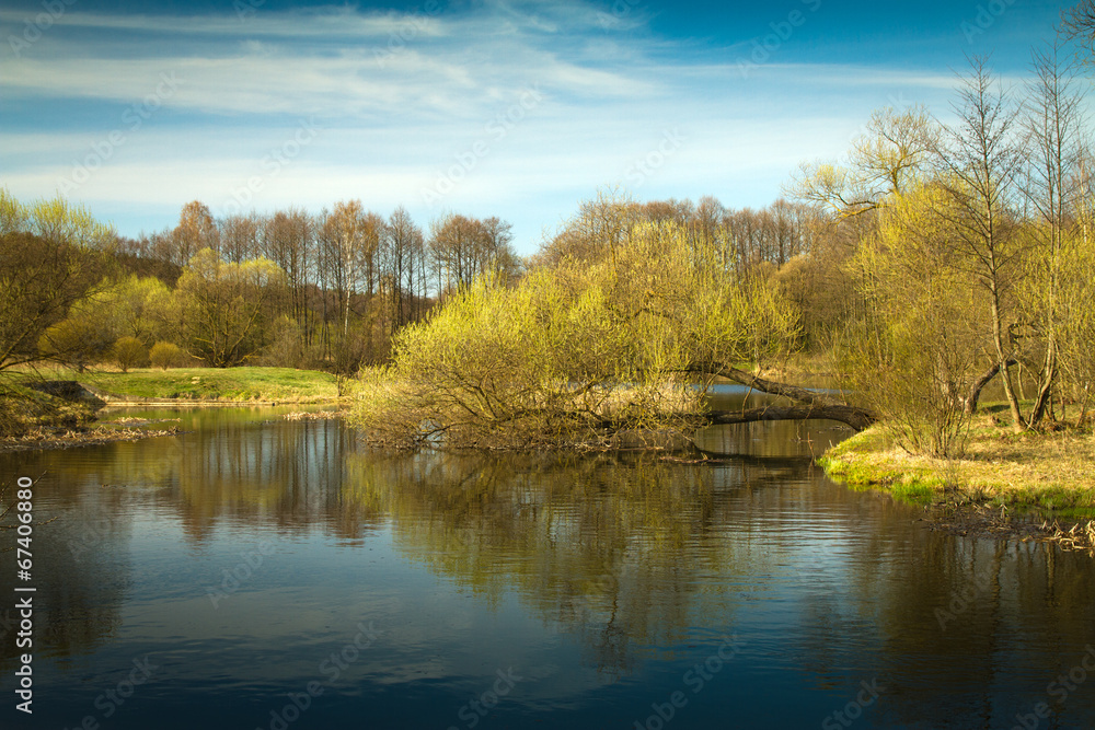 Spring in the parks and forests of Europe Spring in the parks and forests of Europe