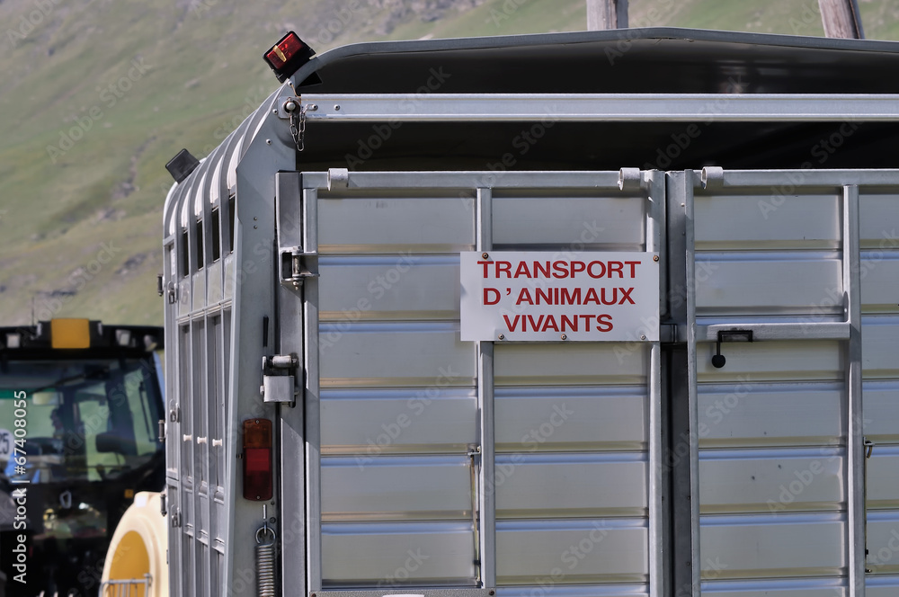 Obraz premium transport d'animaux,remorque,tracteur