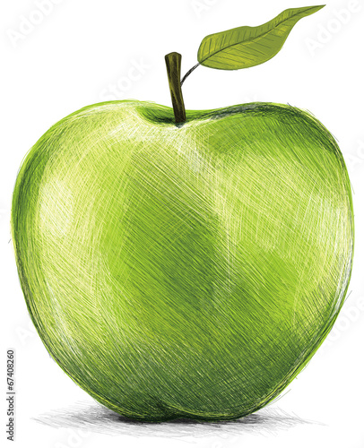 Green Apple Drawing