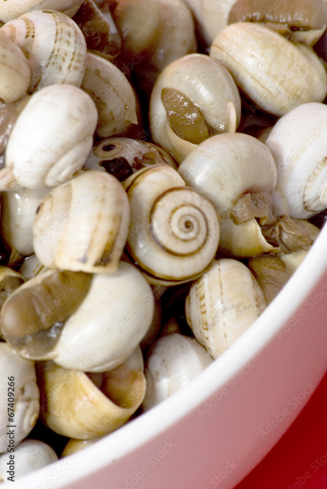Bowl of snails in garlic, typical plate of Spain and France Bowl of snails in garlic, typical plate of Spain and France