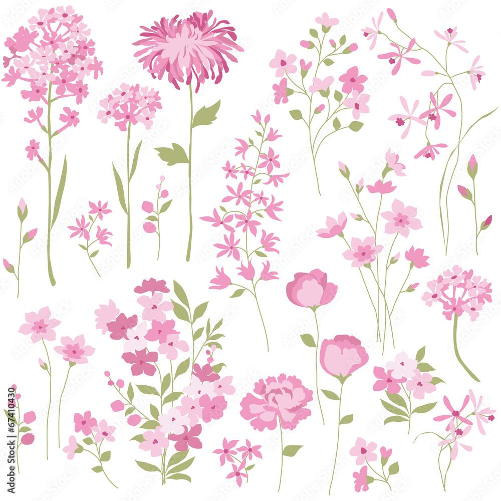 Hand Drawn Pink Flowers