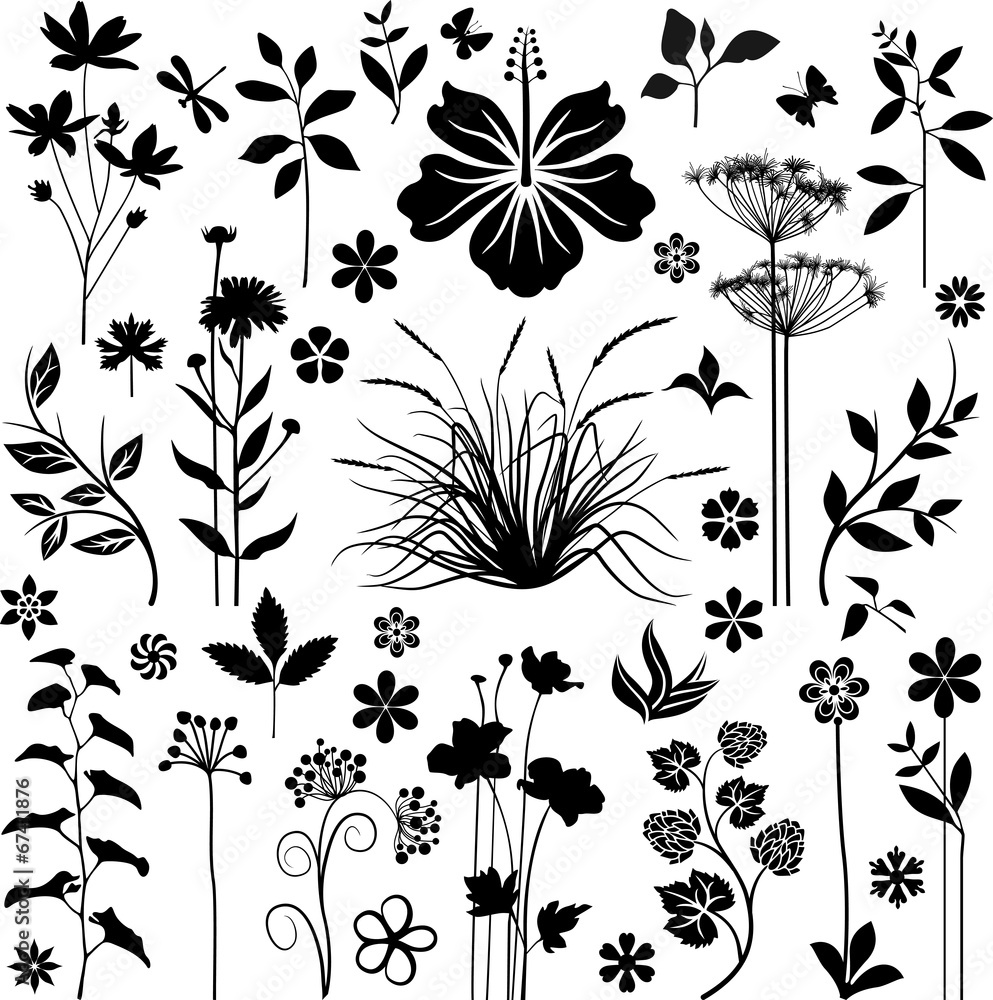 Botany collection Botany collection
