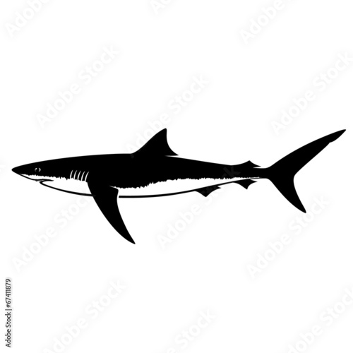 Blue Shark Silhouette Isolated on White