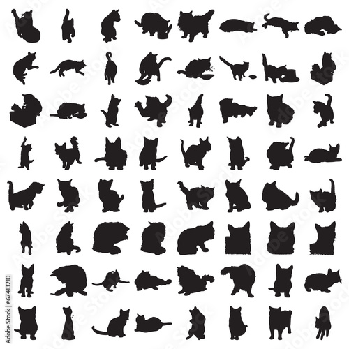 Many Cat Silhouettes