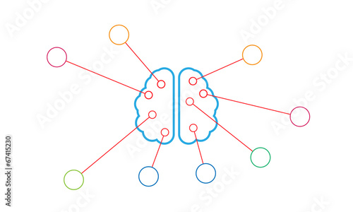 brain