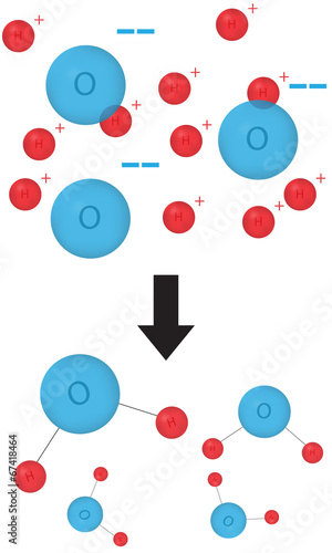 Hydration Reaction Water