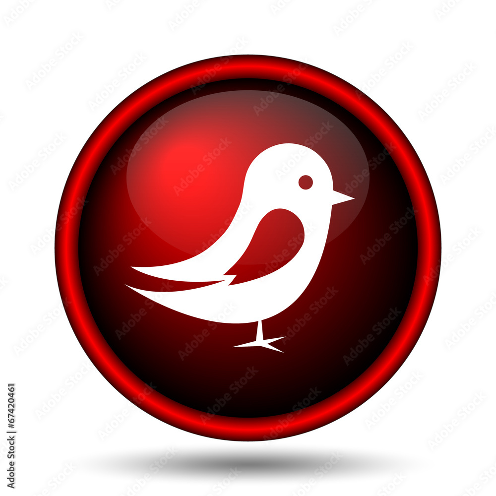Bird icon Bird icon