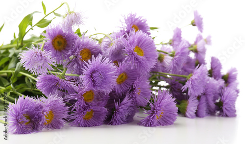 Beautiful wild flowers, close up