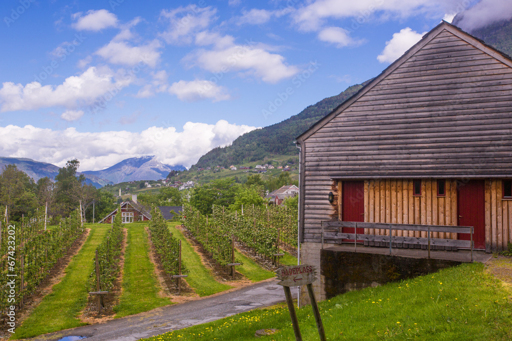 Ulvik, Norway Ulvik, Norway