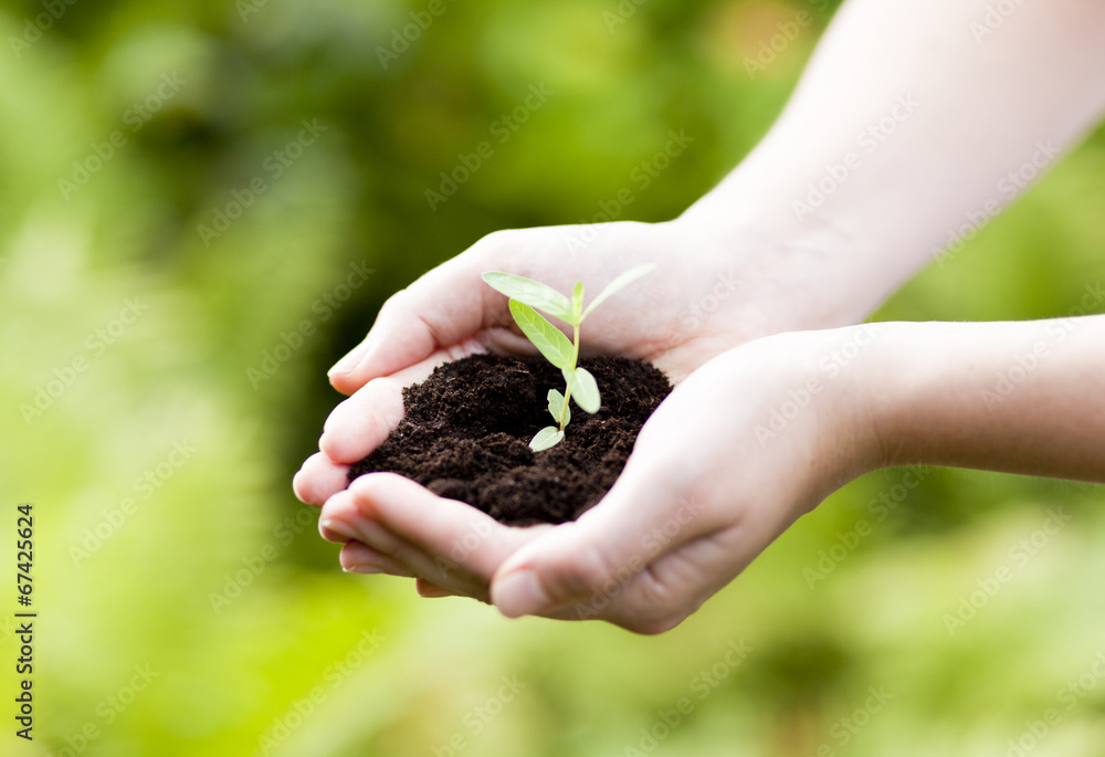 new life, plant in hands - grass background new life, plant in hands - grass background
