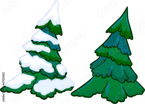 Illustration of cotifer tree. Isolated