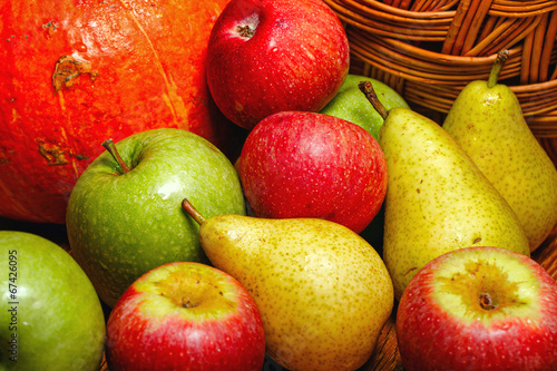 Apple, pear, pumpkin photo