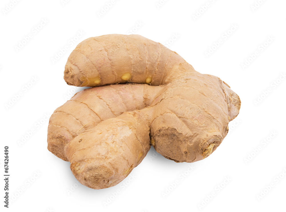 fresh ginger on a white background fresh ginger on a white background