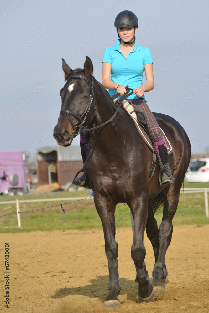 horse jumping