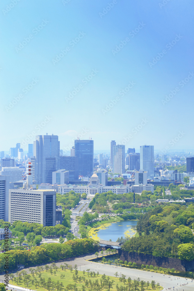 Fototapeta premium 東京の眺め