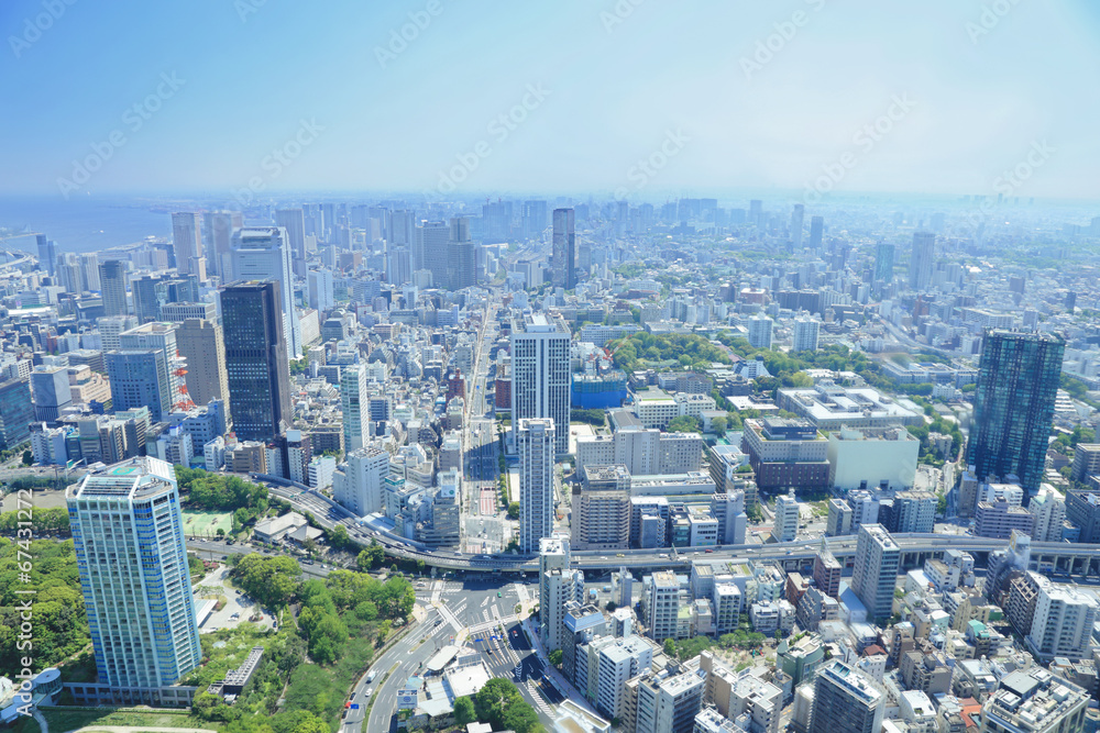 Obraz premium 東京タワーからの眺め
