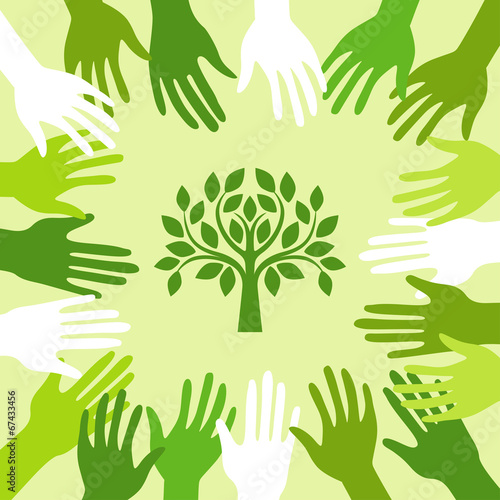 Planting the tree