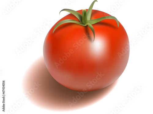Tomato