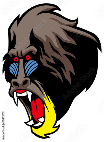 angry baboon head