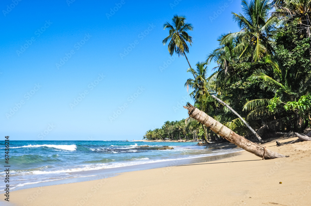 Obraz premium Perfect jungle beach