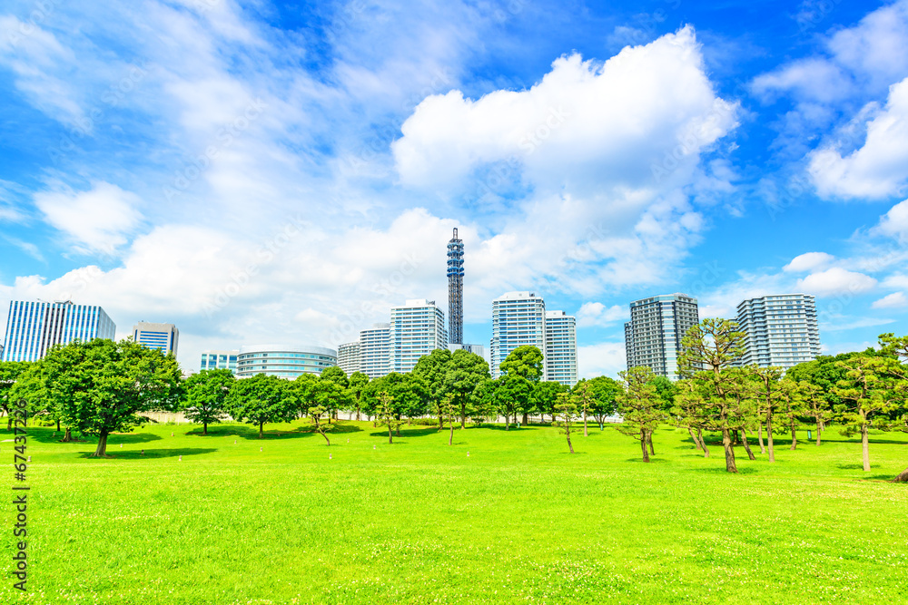 Landscape grass prospects the Yokohama buildings of landmark