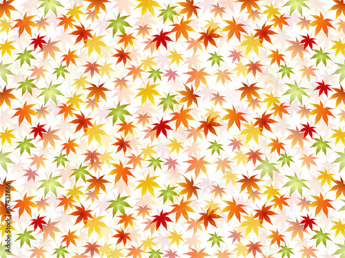 もみじ　紅葉　背景