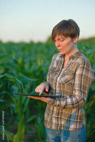 Agronomist with tablet computer in corn field