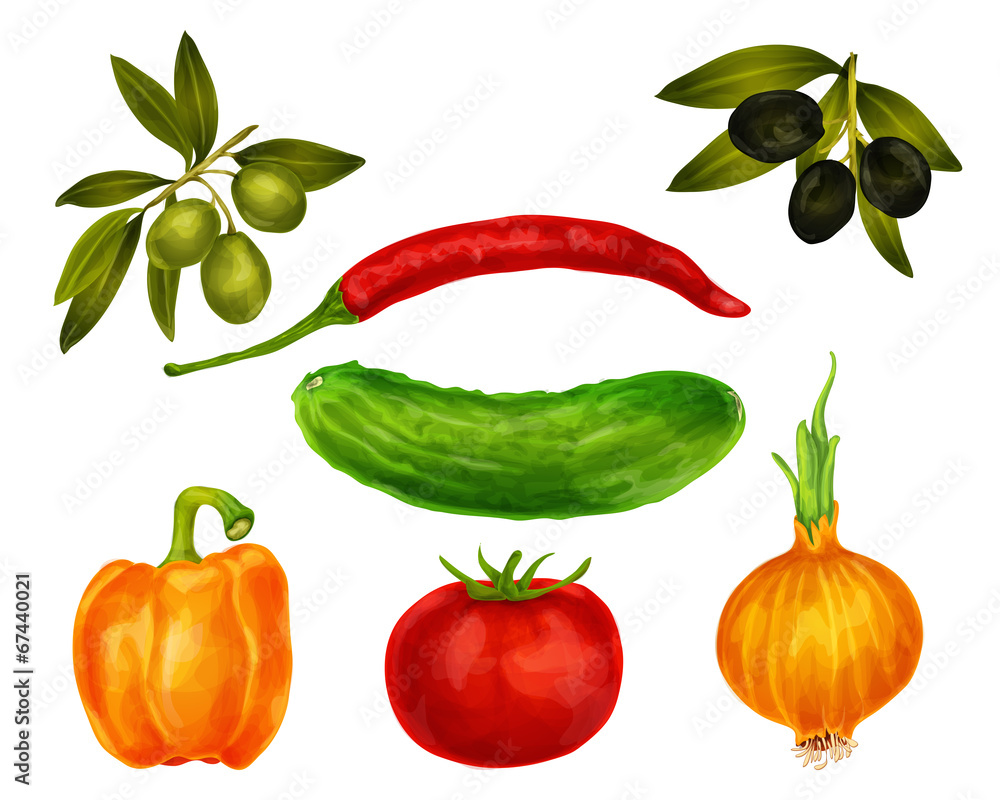 Vegetables isolated set Vegetables isolated set