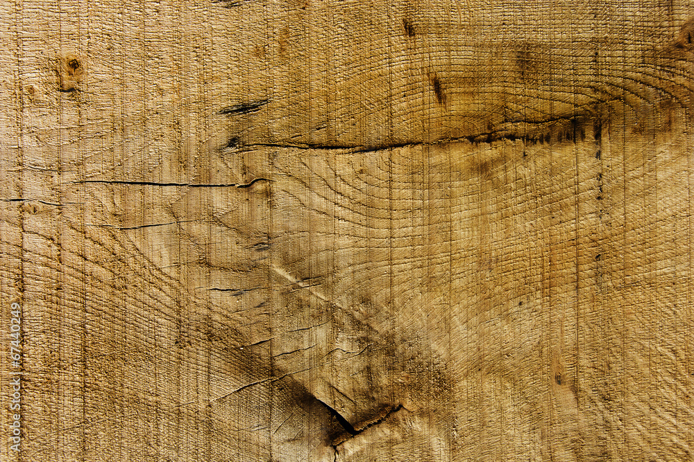 Fototapeta premium Drewno