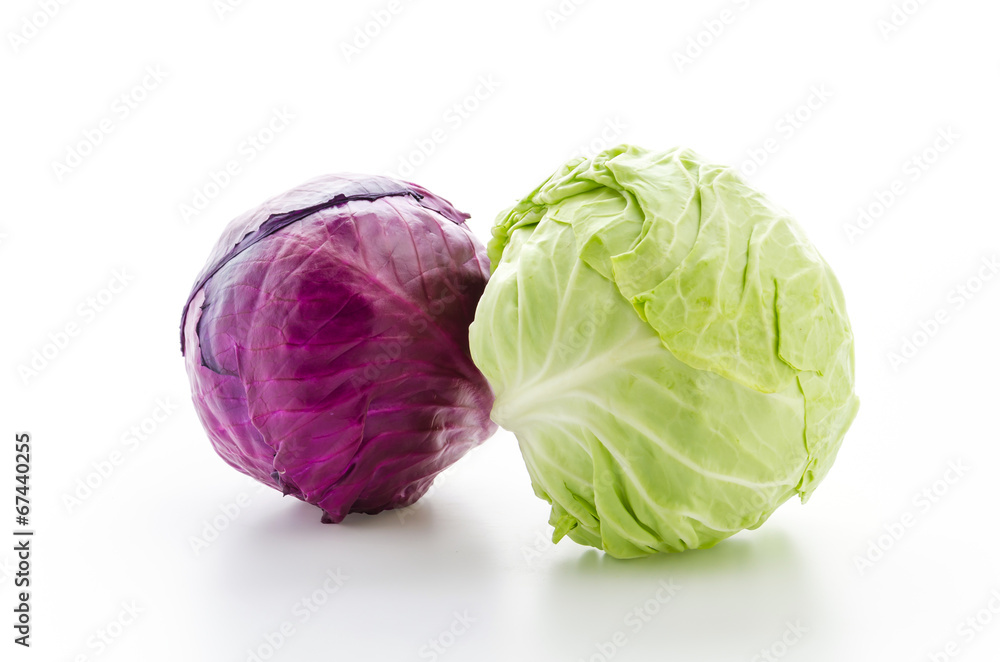 Obraz premium Cabbage isolated on white