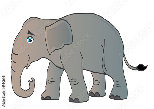 słoń © monikakosz