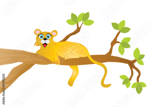 lwica na drzewie