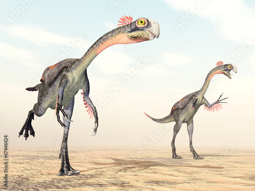Dinosaur Gigantoraptor © Michael Rosskothen